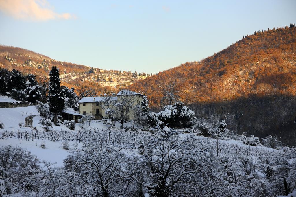 Tenuta Dei Cavalieri Molino del Piano ภายนอก รูปภาพ