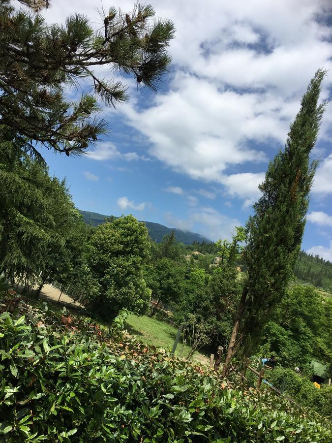 Tenuta Dei Cavalieri Molino del Piano ภายนอก รูปภาพ